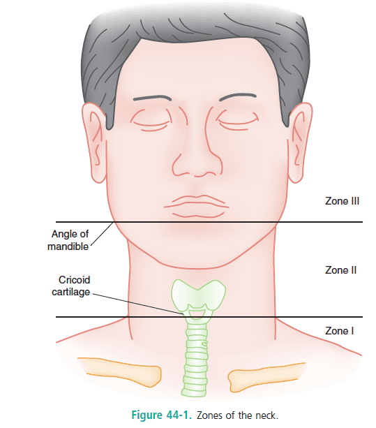 Zones-of-the-Neck-Rosens